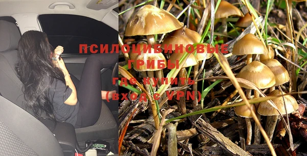 ALPHA PVP Нефтекумск